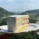 핫플레이스킹덤 이미지