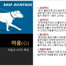 맹자에게 배우는 진심 이미지