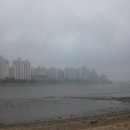 과우사진동호회 7월 정기출사(소래포구 탐방하다) 이미지