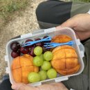 섬진강자전거길 이미지