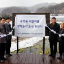 새골 세종nTV