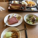 미시마3 | 일본 시즈오카 3박4일 여행 : 미시마 스카이워크 투어 및 온천마을 힐링 후기