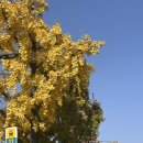 의상기념관 | 서울 삼각지 가볼만한 곳 - 전쟁기념관에 다녀온 후기 (이태원, 해방촌 근처)