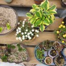 이화식당 이미지