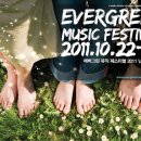 에버그린 이미지