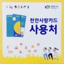 점핑디노