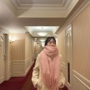 명품 남구미 태권도장 | 먹으러 신혼여행을 떠나는 부부가 있다? 도쿄편