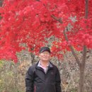 내서읍1171 이미지