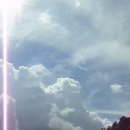 그루터기 이미지