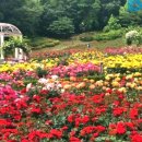 연수구 장미공원 앞 이미지