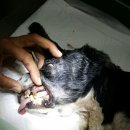 이성준동물병원 이미지