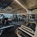 근육터짐 지방빠짐 | 사당역 헬스장 근육터짐 지방빠짐 전문 트레이너와 함께