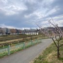 30170-8-14 이미지