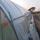 사랑축사 이미지