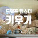 매산리 538 이미지