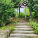 정글숲