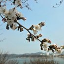 낙동강변로3-3 이미지