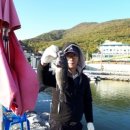 강화선두바다낚시터 이미지