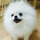 안녕하세요 이미지