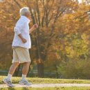 잘 먹는데도 어질어질…철분 흡수 막는 의외의 행동들 이미지