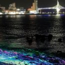 울산종합관광안내소 이미지