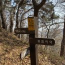 2025년 청춘트레일100(춘천분지산행) 7차_2025년10월19일(일)7시_남춘천역건너편(진보닭갈비) 이미지