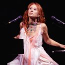 Pressed dr 이미지