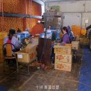 상주여행사