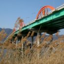 양산천변 이미지