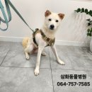 표선동물병원 이미지