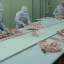 선영축산 이미지