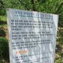 산들청과