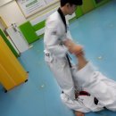 한국체대 인성금강 태권도 이미지