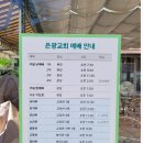 은광교회도서관 네이버블로그