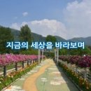 지금의세상 이미지