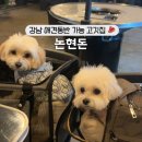 서울논현초등학교 | 강남 논현동 애견동반 가능 고깃집 논현돈 강남논현본점 내돈내산 솔직후기
