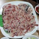 입석대 Daum카페