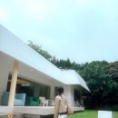 수목정 | 다이어트 중 디저트 포기 못하는 사람 나야 나...살 안 찌는 간식 3가지 (진짜 내돈내산 후기)