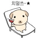 삼성애견 네이버블로그
