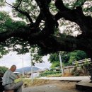 중부-현장-중부-2212 | 충주/호반 천혜의 드라이브코스[길따라 맛따라]*재오개리 야외촬영장