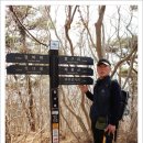 매봉산2 이미지