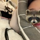 하우스랜드 | [에버랜드 캐스트 후기]2.캐스트하우스/입주&amp;입문교육