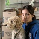 the 러블리 이미지