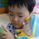 뽀드독 Daum카페