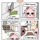 모찌툰