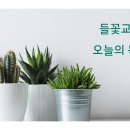 2026년 07월 18일 (토) 제목 : 여로보암의 아들의 죽음 오늘의 말씀 : 열왕기상 14:1-16 이미지