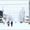 비에이 카카오 검색결과