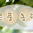 은풍농원
