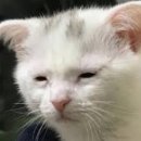 JS퍼포먼스 이미지