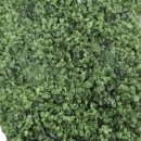 광동떡집 이미지